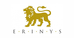 Erinys International